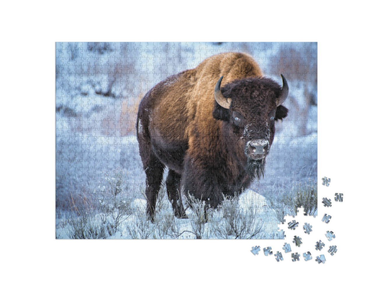 Puzzel 1000 stukjes „Amerikaanse bizon in de sneeuw, Yellowstone National Park“