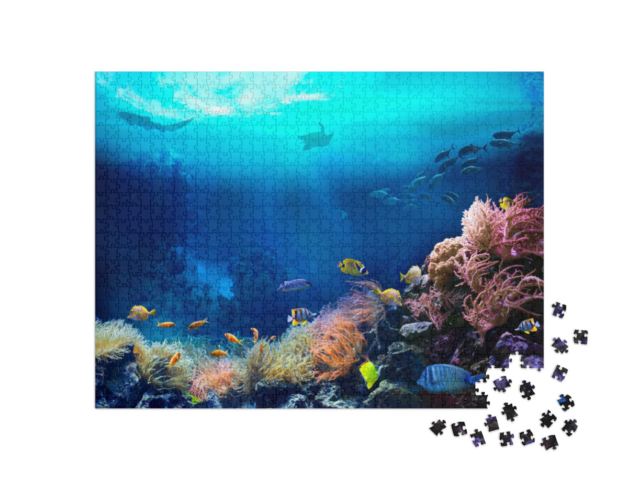 Puzzel 1000 stukjes „Onderwaterfoto van een tropisch koraalrif“
