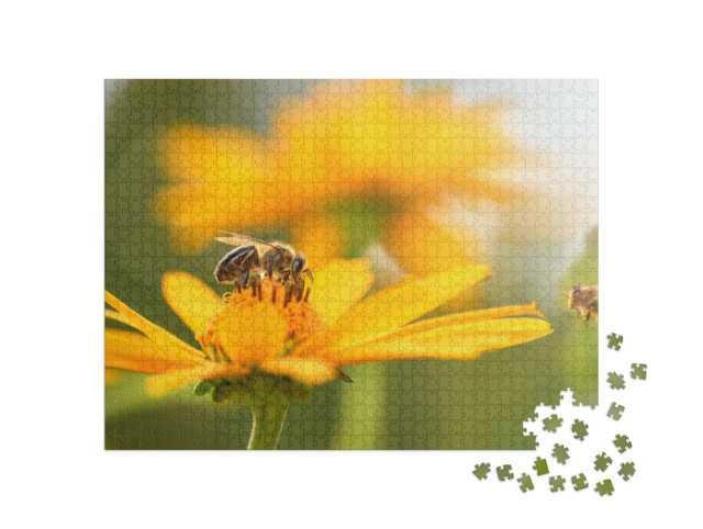 Puzzel 1000 stukjes „Close-up van een bij en bloem“