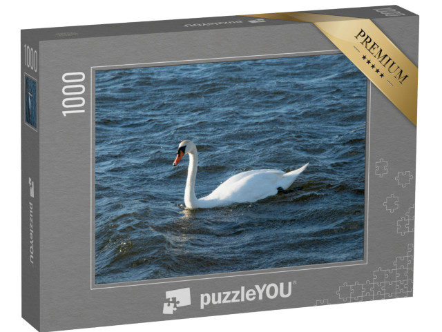 Puzzel 1000 stukjes „Prachtige witte zwanen zwemmen in het Veluwemeer“