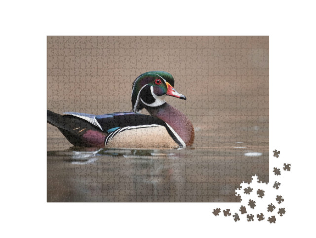 Puzzel 1000 stukjes „Een wilde eend, Pennsylvania“