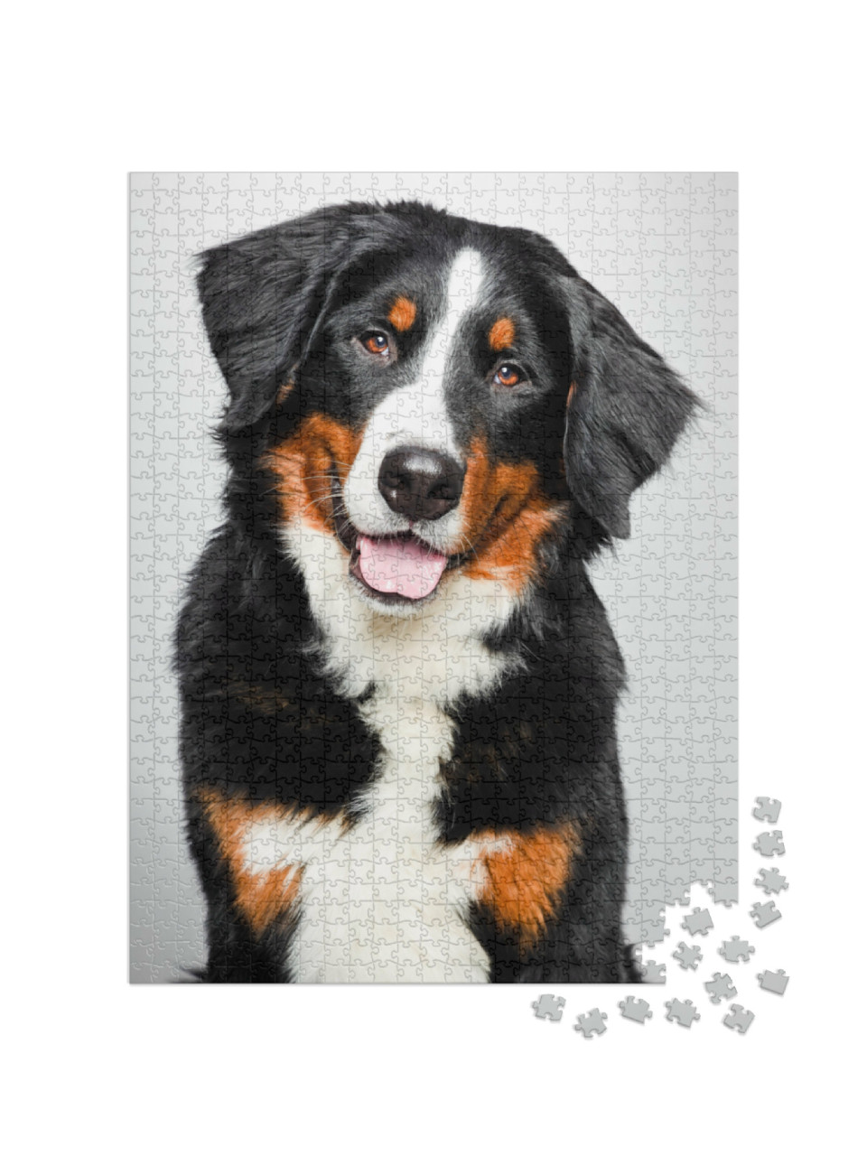 Puzzel 1000 stukjes „Portret van een Berner Sennenhond“