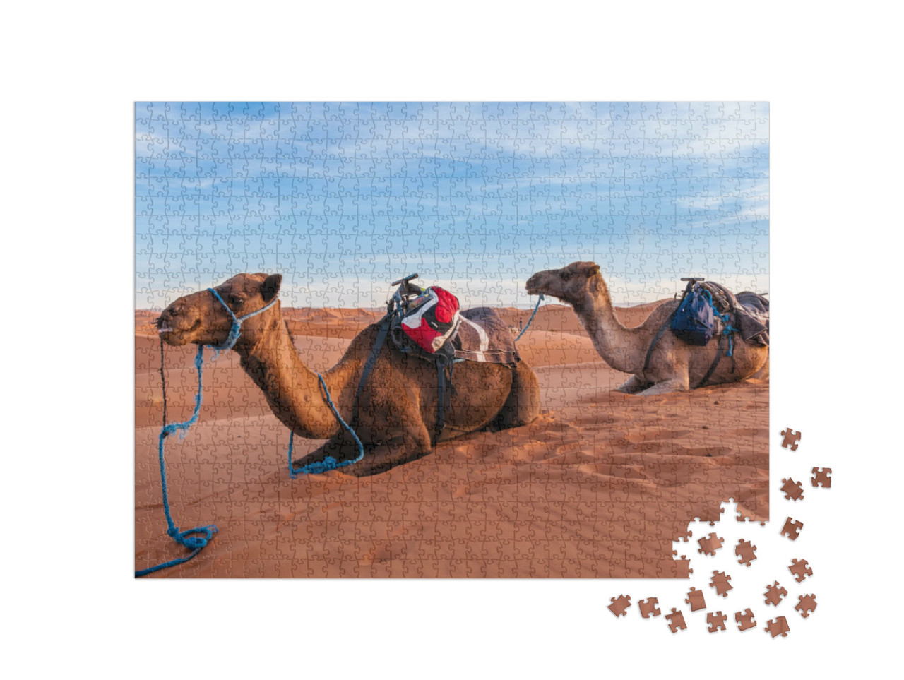 Puzzel 1000 stukjes „Kamelenkaravaan in de Sahara van Marokko“