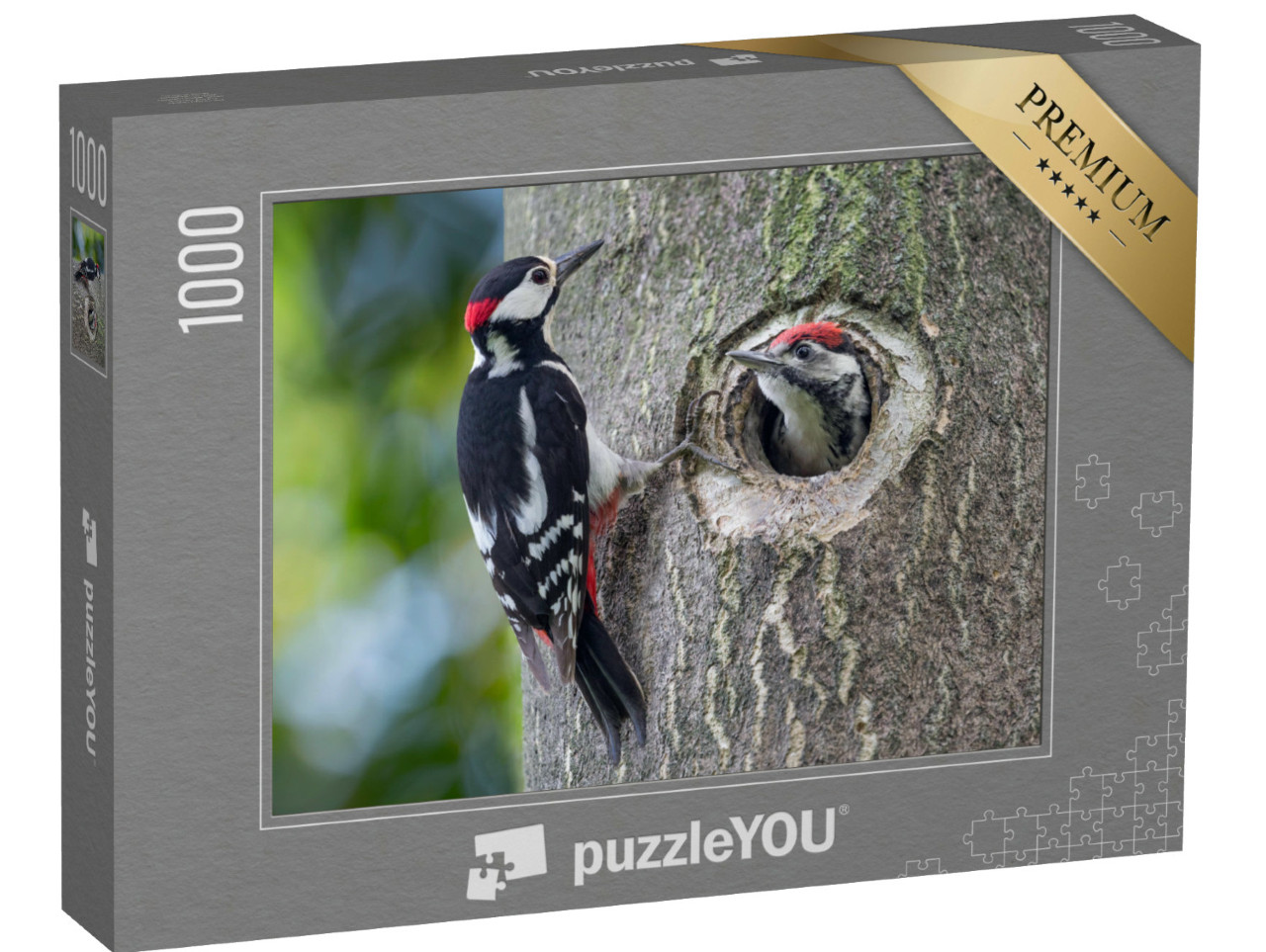 Puzzel 1000 stukjes „Grote bonte specht nest met vader en zoon“