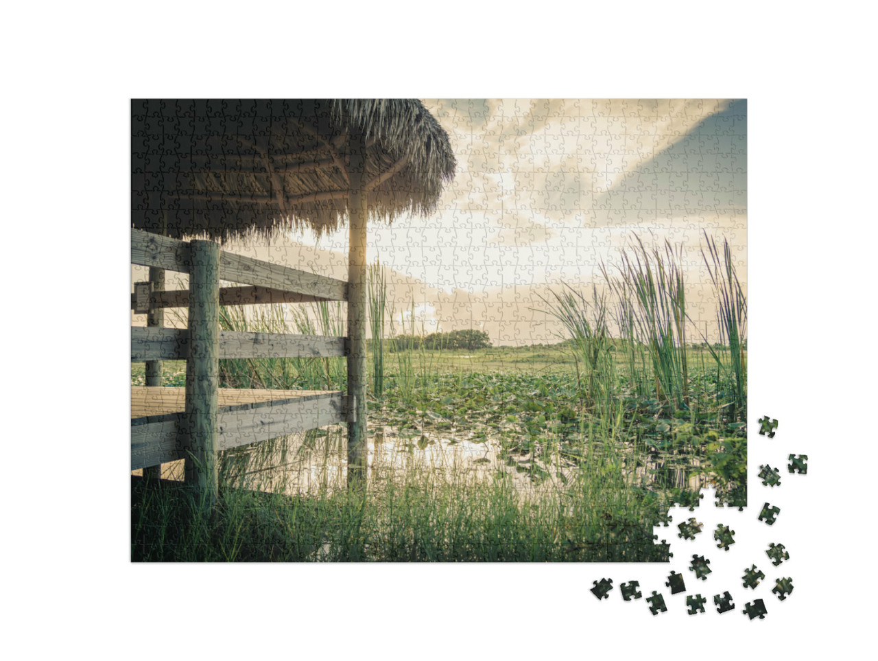Puzzel 1000 stukjes „Nationaal park Everglades, Louisiana, VS“