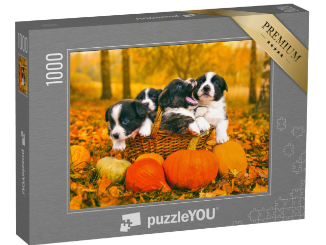 Puzzel 1000 stukjes „Welsh Corgi Pembroke puppies in de herfst“