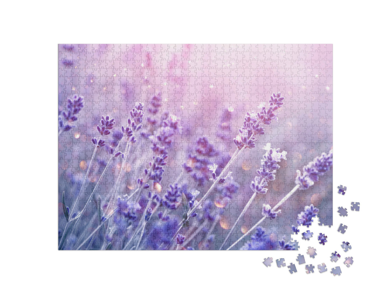 Puzzel 1000 stukjes „Bloeiende lavendel in het zachte avondlicht“