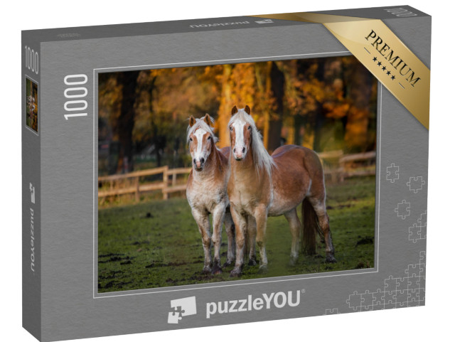 Puzzel 1000 stukjes „Twee paarden in een herfstweide“