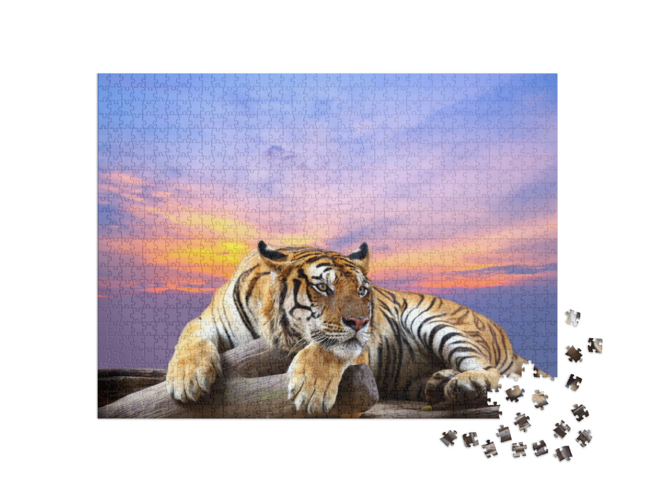 Puzzel 1000 stukjes „Attente tijger“