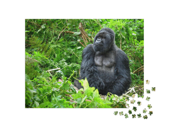 Puzzel 1000 stukjes „Zilverrug berggorilla in een regenwoud in Rwanda“