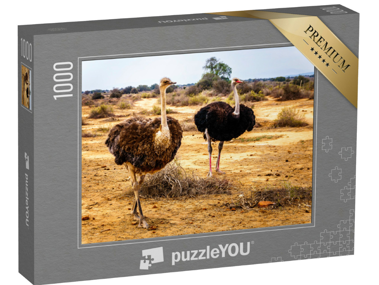 Puzzel 1000 stukjes „Vrouwelijke en mannelijke struisvogel in de halfwoestijn, Westkaap in Zuid-Afrika“