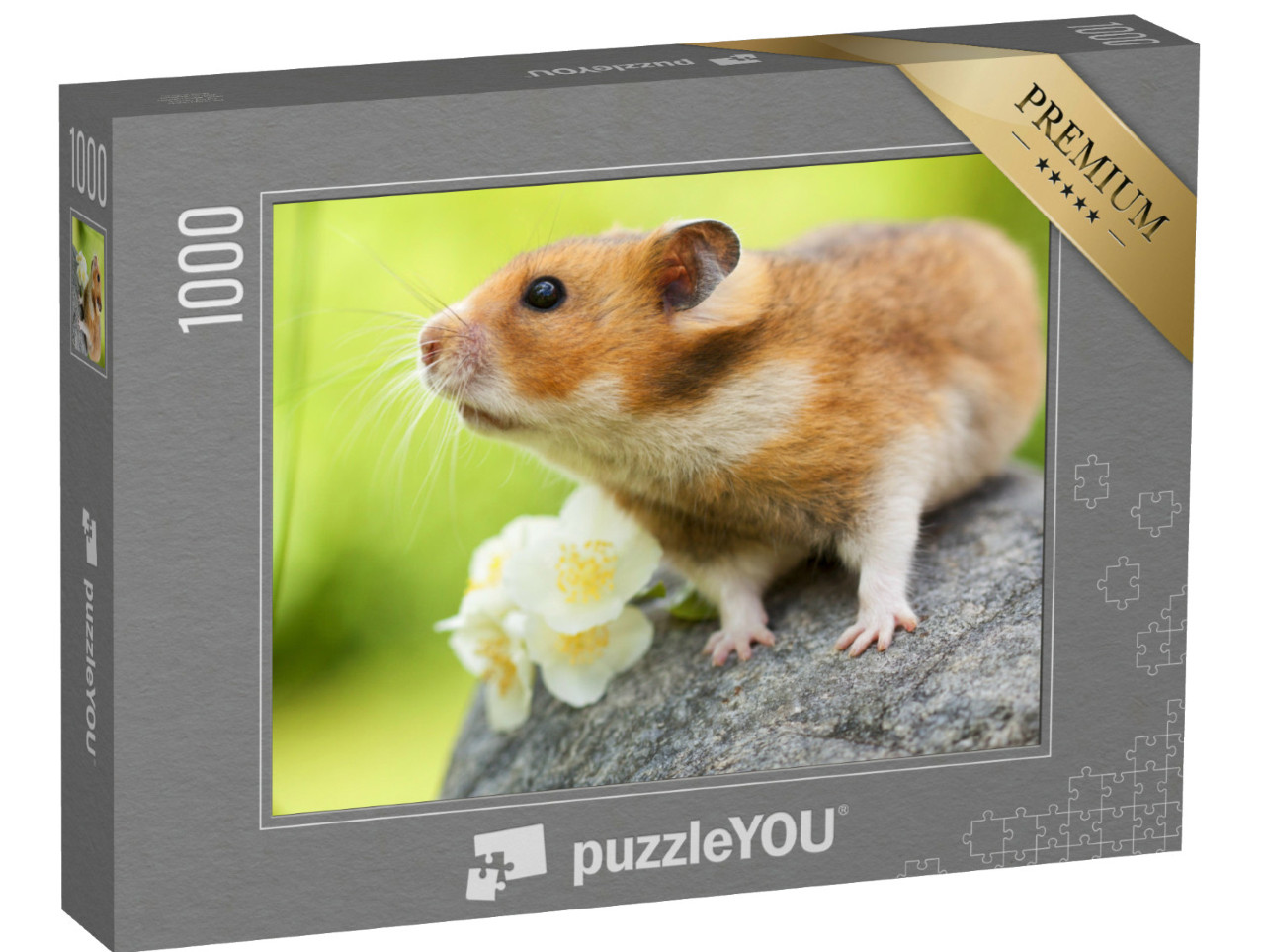 Puzzel 1000 stukjes „Schattige hamster op een steen“