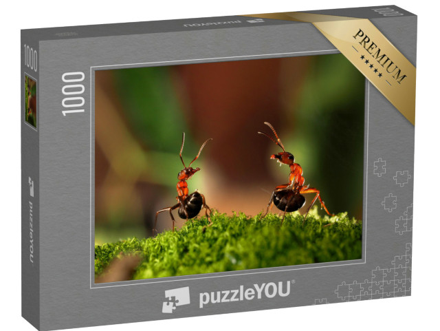 Puzzel 1000 stukjes „De strijd van twee mieren“