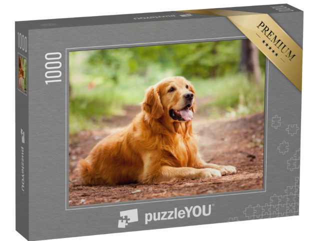 Puzzel 1000 stukjes „Portret van een Golden Retriever“