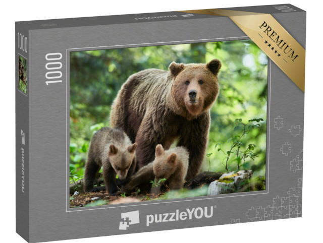 Puzzel 1000 stukjes „Een close-up van een wilde bruine beer“
