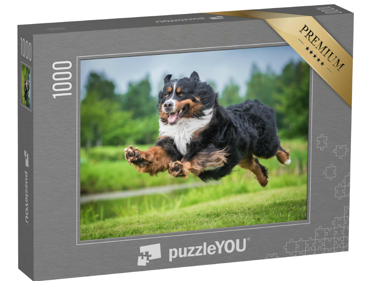 Puzzel 1000 stukjes „Berner Sennenhond springen“