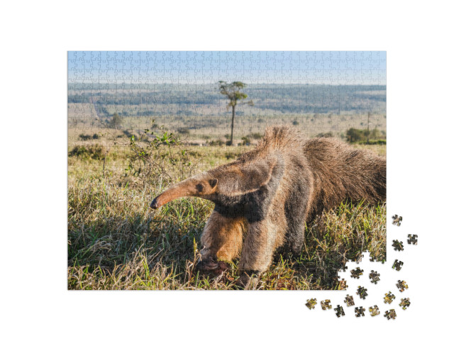 Puzzel 1000 stukjes „Een wilde reuzenmiereneter in de wei“