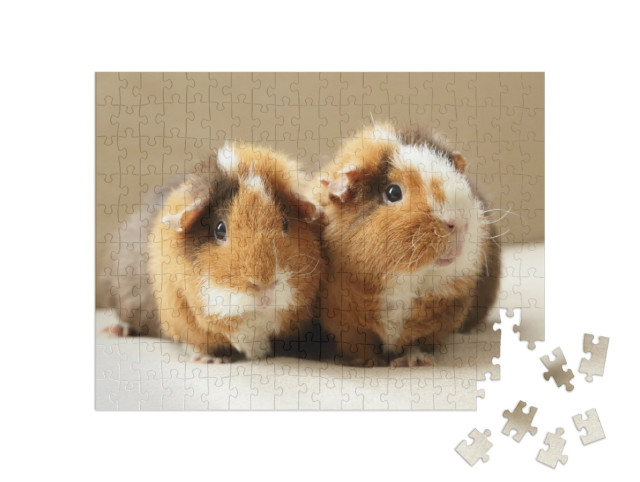 Puzzel 200 stukjes „Twee schattige cavia's“