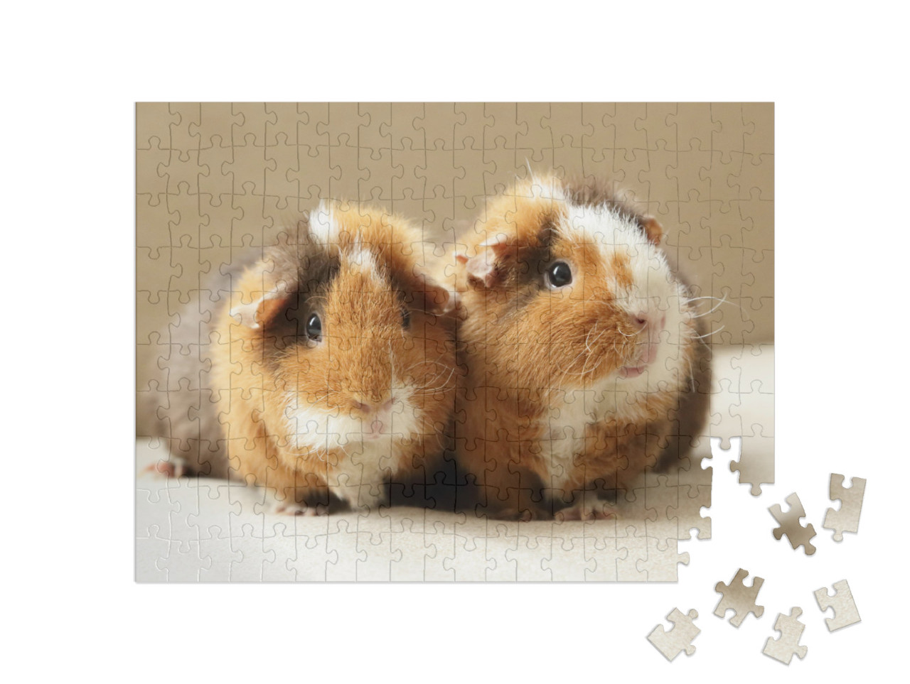 Puzzel 200 stukjes „Twee schattige cavia's“