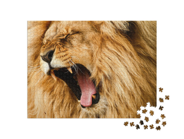 Puzzel 1000 stukjes „Brullende leeuw“