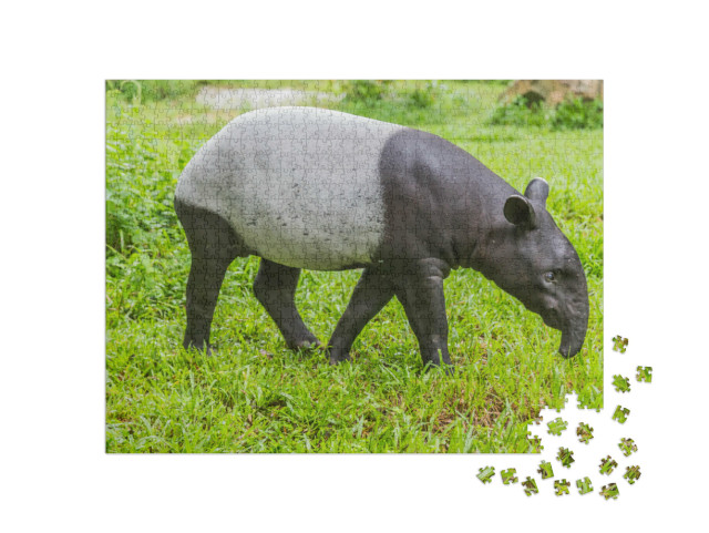 Puzzel 1000 stukjes „Tapir die zich voedt met grote planten“