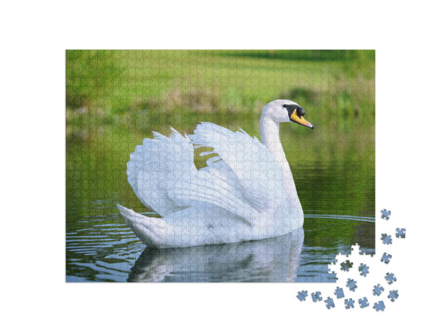 Puzzel 1000 stukjes „Meer met een witte zwaan“