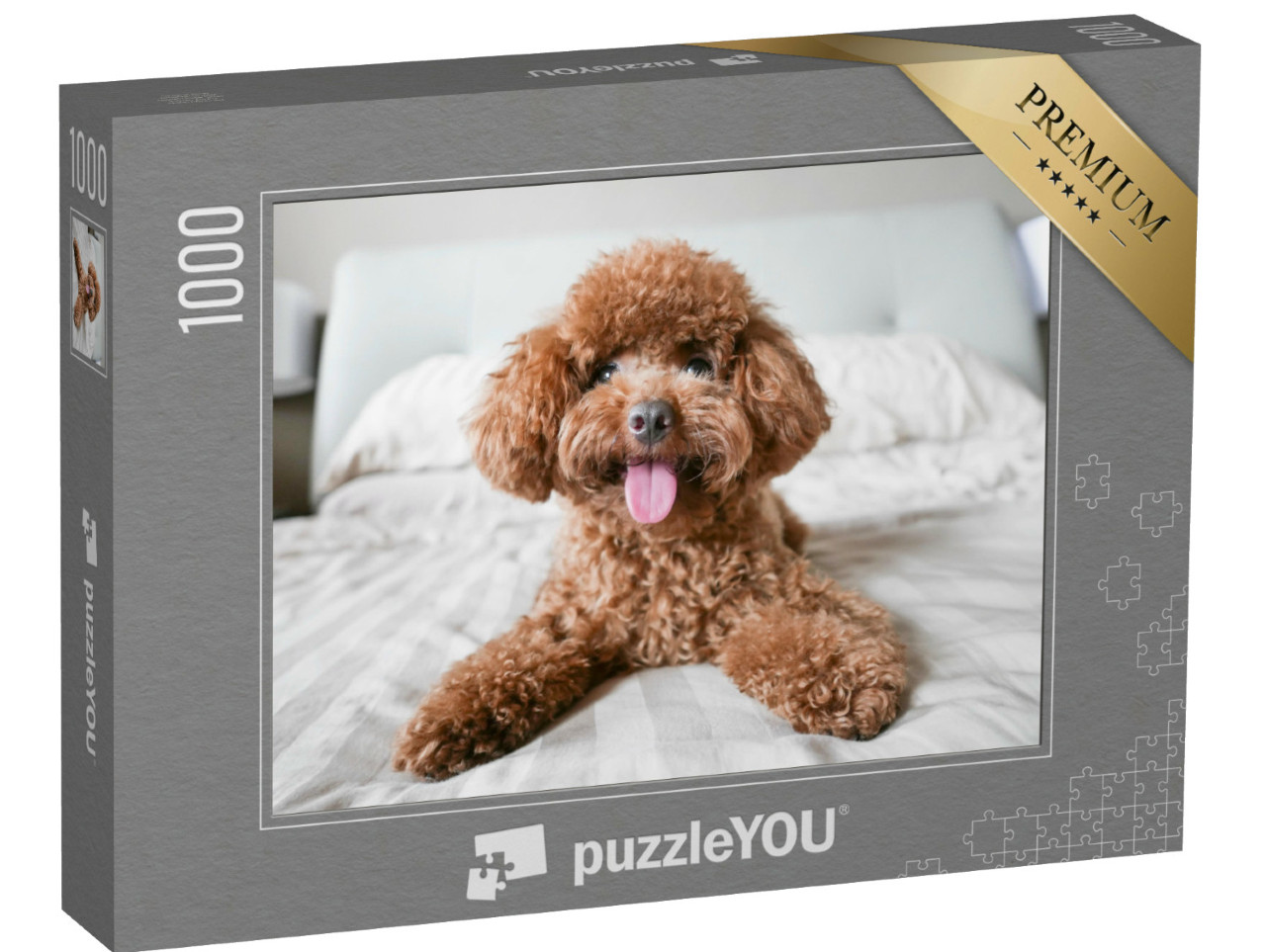 Puzzel 1000 stukjes „Schattige poedel op het bed“