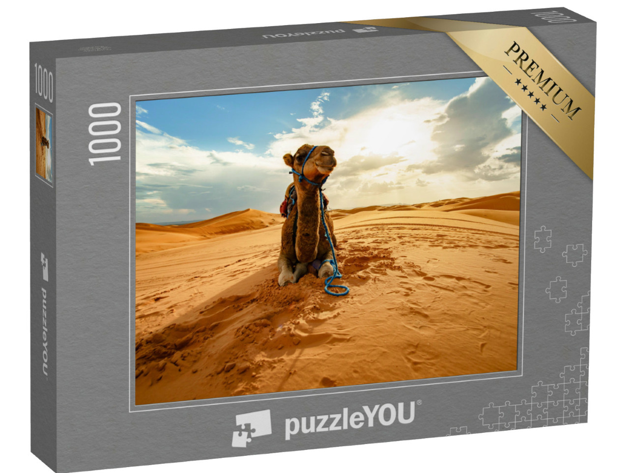 Puzzel 1000 stukjes „Rustende kameel in de Sahara, Marokko“