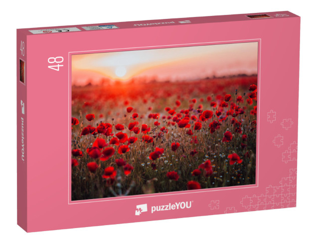Puzzel 48 stukjes „Klaprozenveld bij zonsondergang“