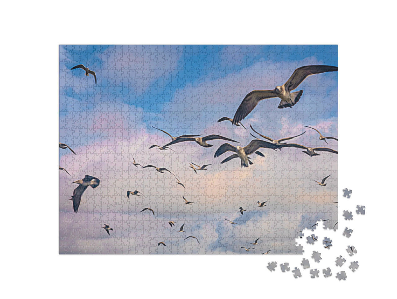 Puzzel 1000 stukjes „Een zwerm meeuwen vliegt door de lucht“