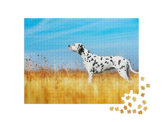 Puzzel 1000 stukjes „Mooie dalmatiër in een veld“