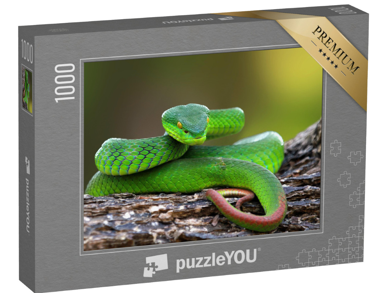 Puzzel 1000 stukjes „Trimisurus albolabris, groene slang op tak“