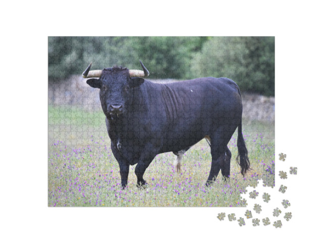 Puzzel 1000 stukjes „Zwarte stier in Spanje op een greenfield site“