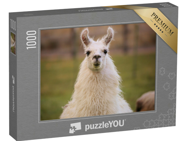 Puzzel 1000 stukjes „Lama“
