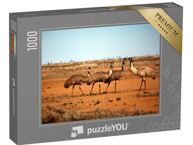 Puzzel 1000 stukjes „Emoes in het wild, Outback New South Wales, Australië.“