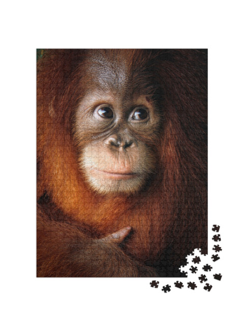 Puzzel 1000 stukjes „Baby orang-oetan“