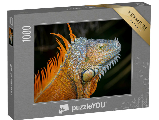 Puzzel 1000 stukjes „Oranjekleurige morf van een volwassen groene leguaan“