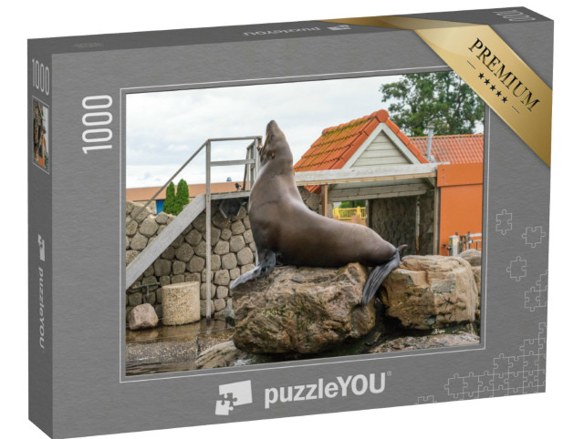 Puzzel 1000 stukjes „Nederland, Harderwijk, Dolfinarium, Zeehonden op een rots, Europa“