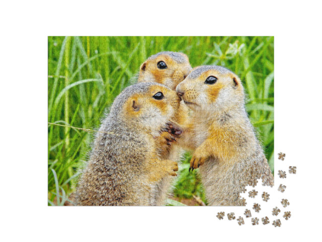 Puzzel 1000 stukjes „Eekhoorn“