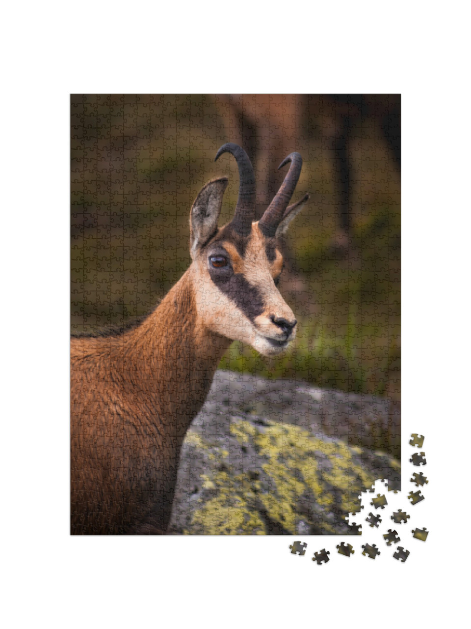 Puzzel 1000 stukjes „Portret van een gems in de natuur“