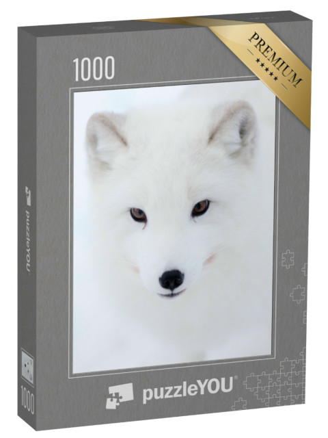Puzzel 1000 stukjes „De blik van een poolvos“