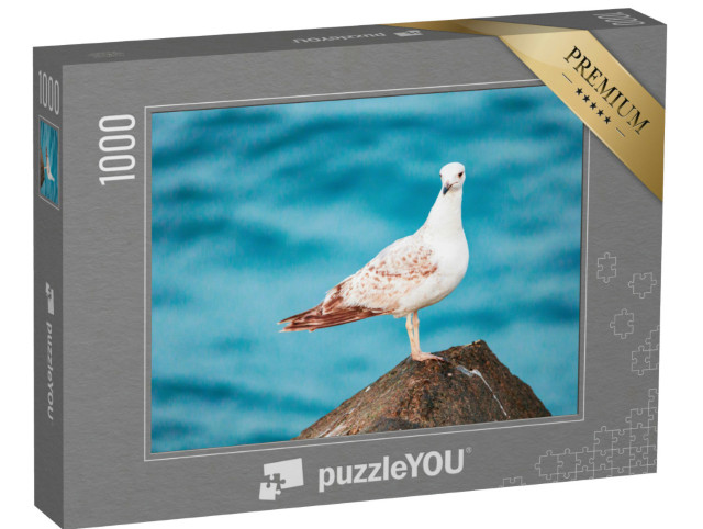 Puzzel 1000 stukjes „Een zeemeeuw aan zee“