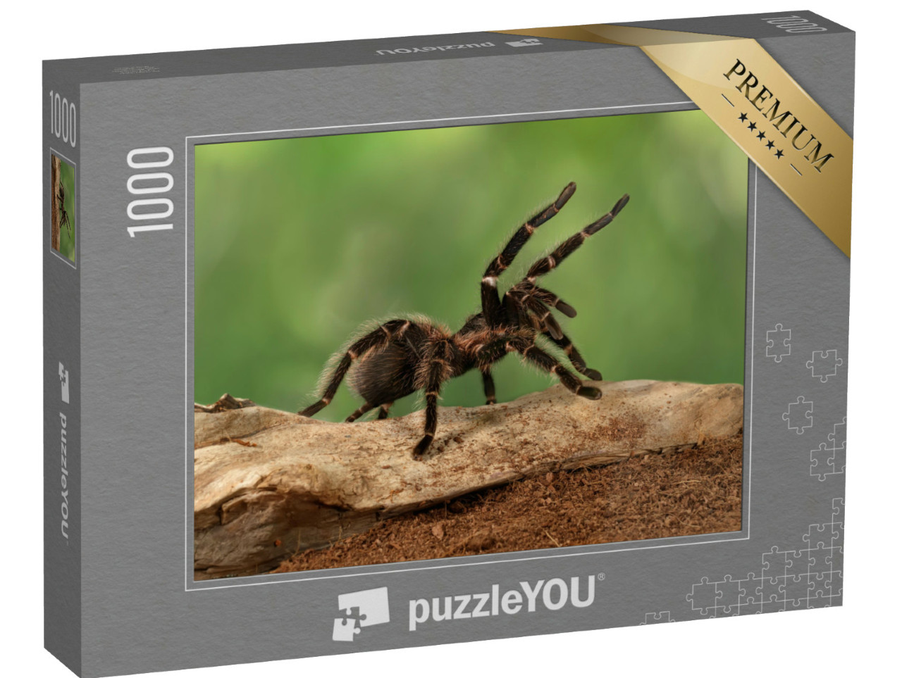 Puzzel 1000 stukjes „Close-up van een vrouwelijke Tarantula in een dreigende houding“