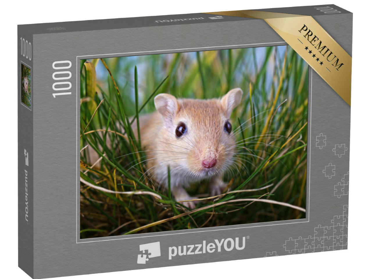 Puzzel 1000 stukjes „Kleine gerbil in het gras“