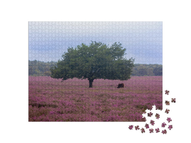 Puzzel 1000 stukjes „Paars bloemenveld in de mist in Hilversum, Nederland“