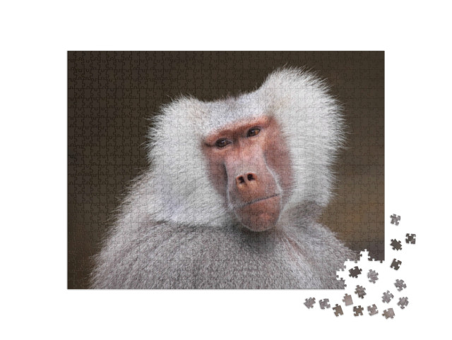 Puzzel 1000 stukjes „Portret van een nadenkende baviaan“