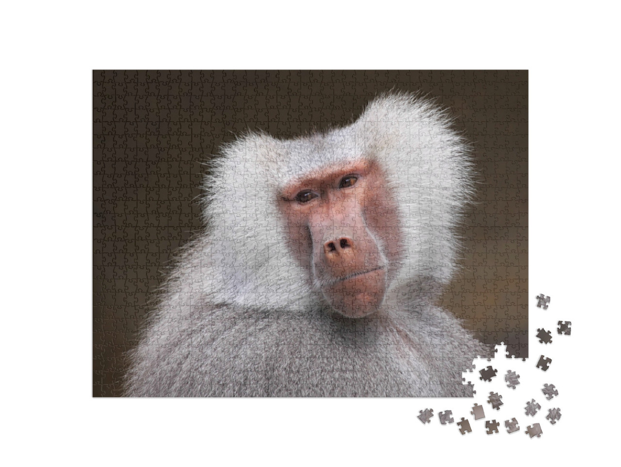 Puzzel 1000 stukjes „Portret van een nadenkende baviaan“