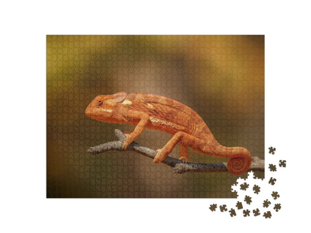 Puzzel 1000 stukjes „Wilde kameleon in Afrika“