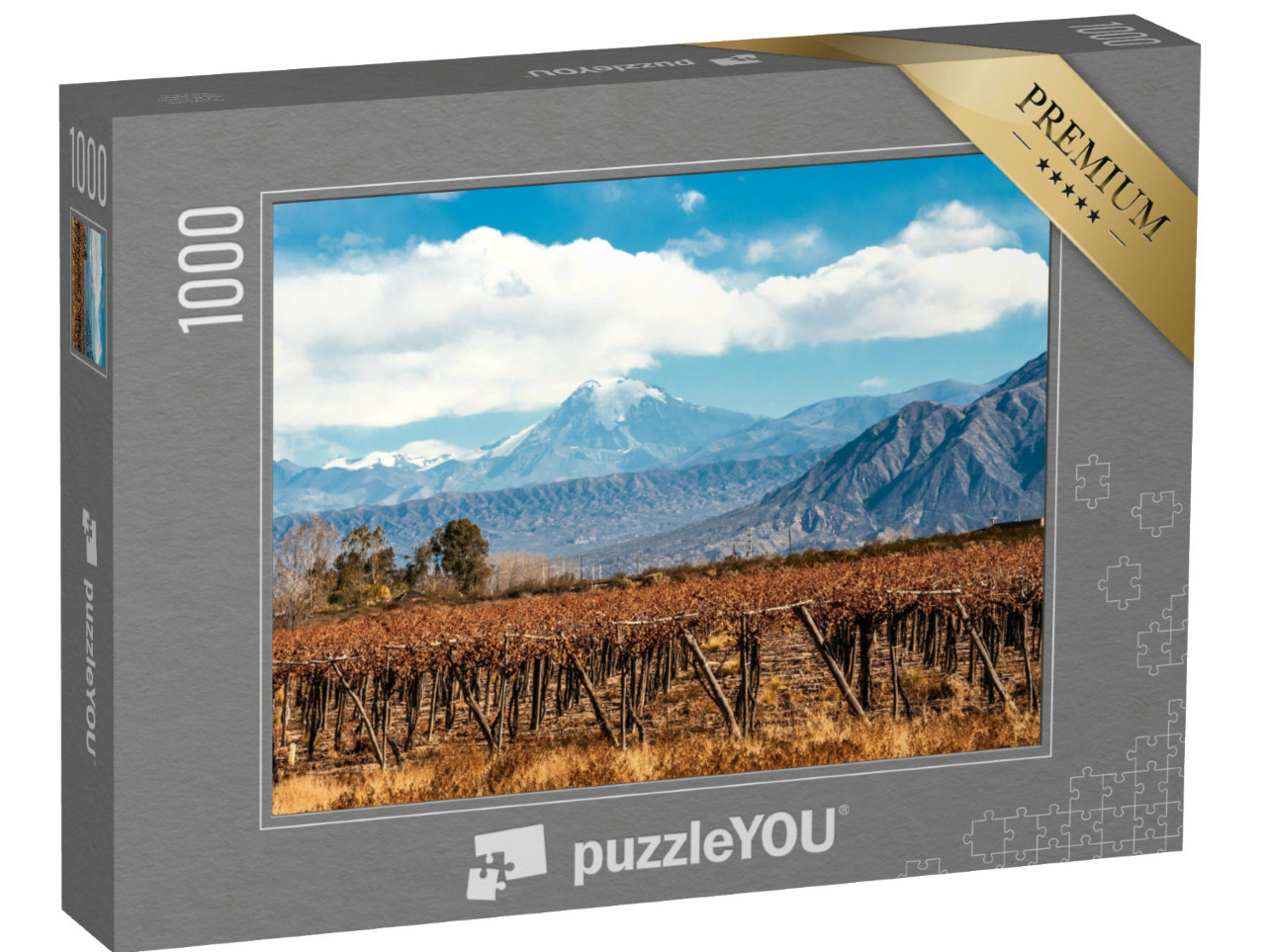 Puzzel 1000 stukjes „Aconcagua vulkaan en wijngaard, Andes, Argentinië“