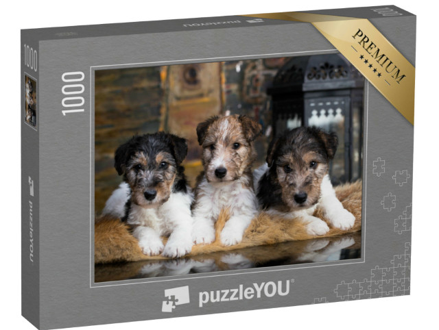 Puzzel 1000 stukjes „Schattige fox terrier puppies op hun knusse deken“